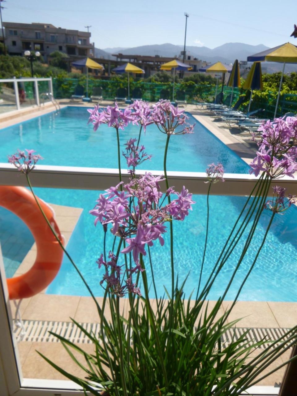 Stavros Apartments Istron Zewnętrze zdjęcie